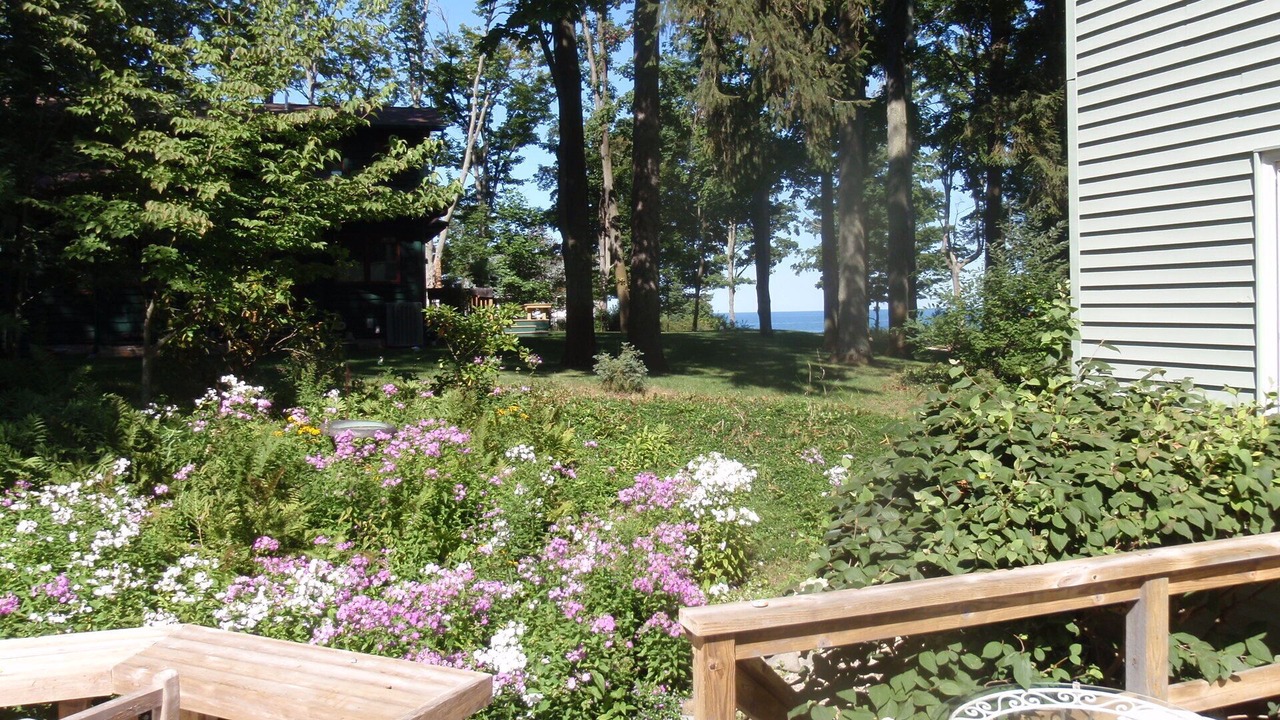 Photo of Outdoor in Fennville