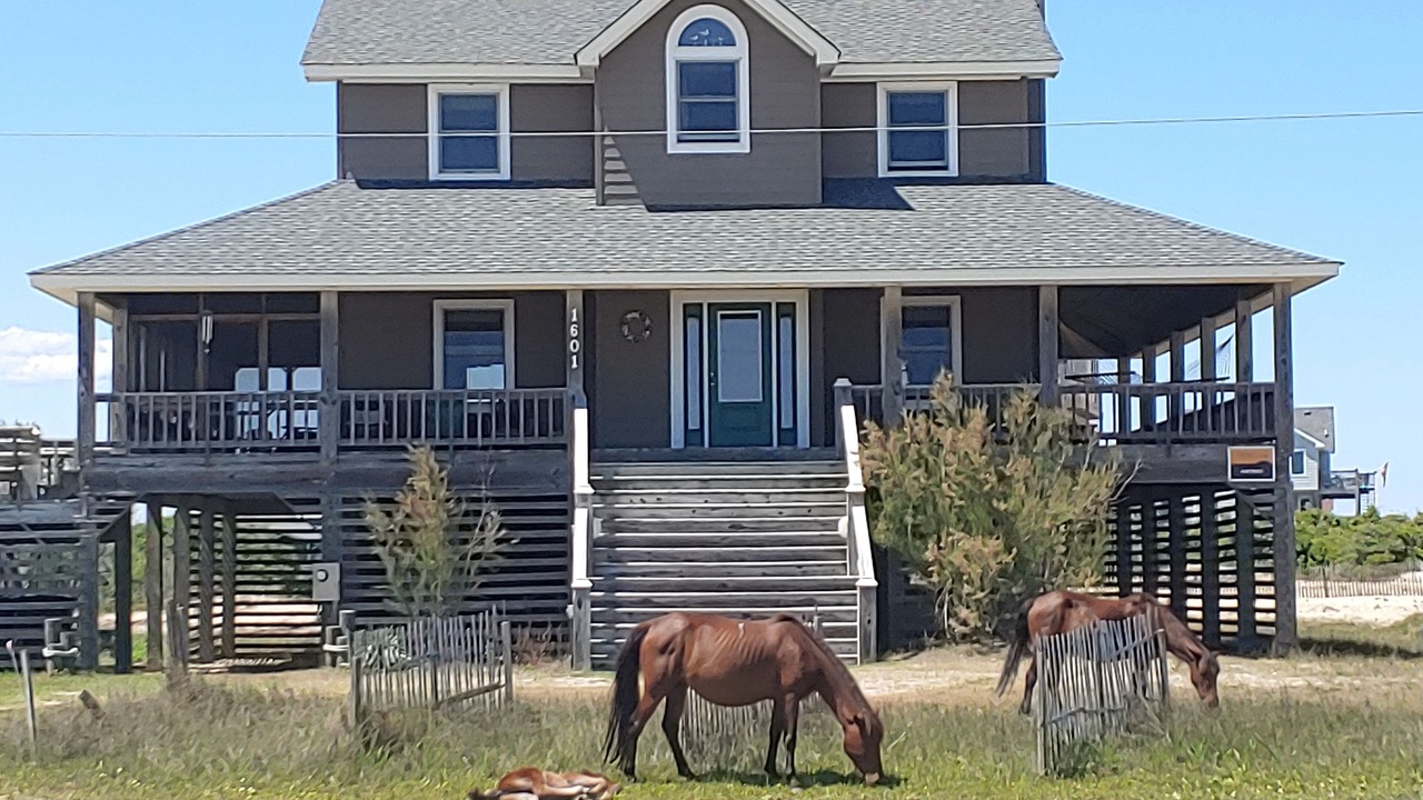 Photo of Outdoor in Corolla