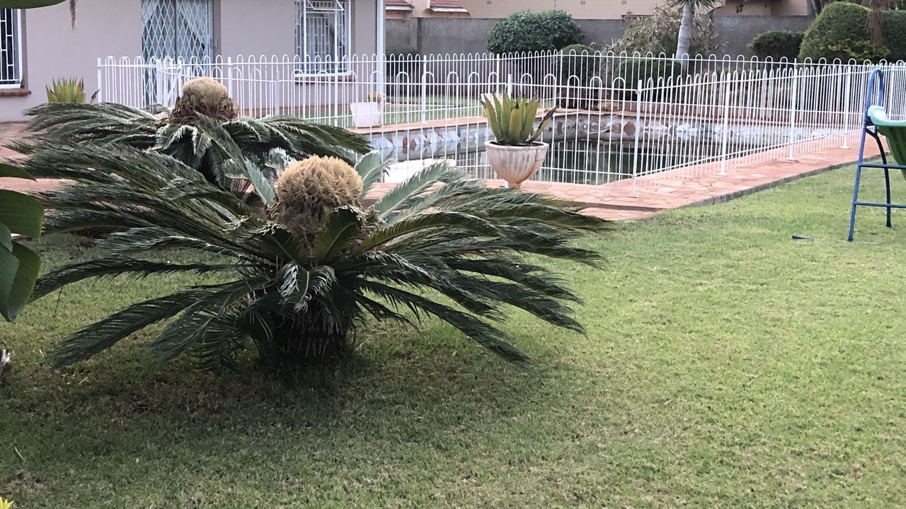 Photo of Outdoor in Glen Lorne