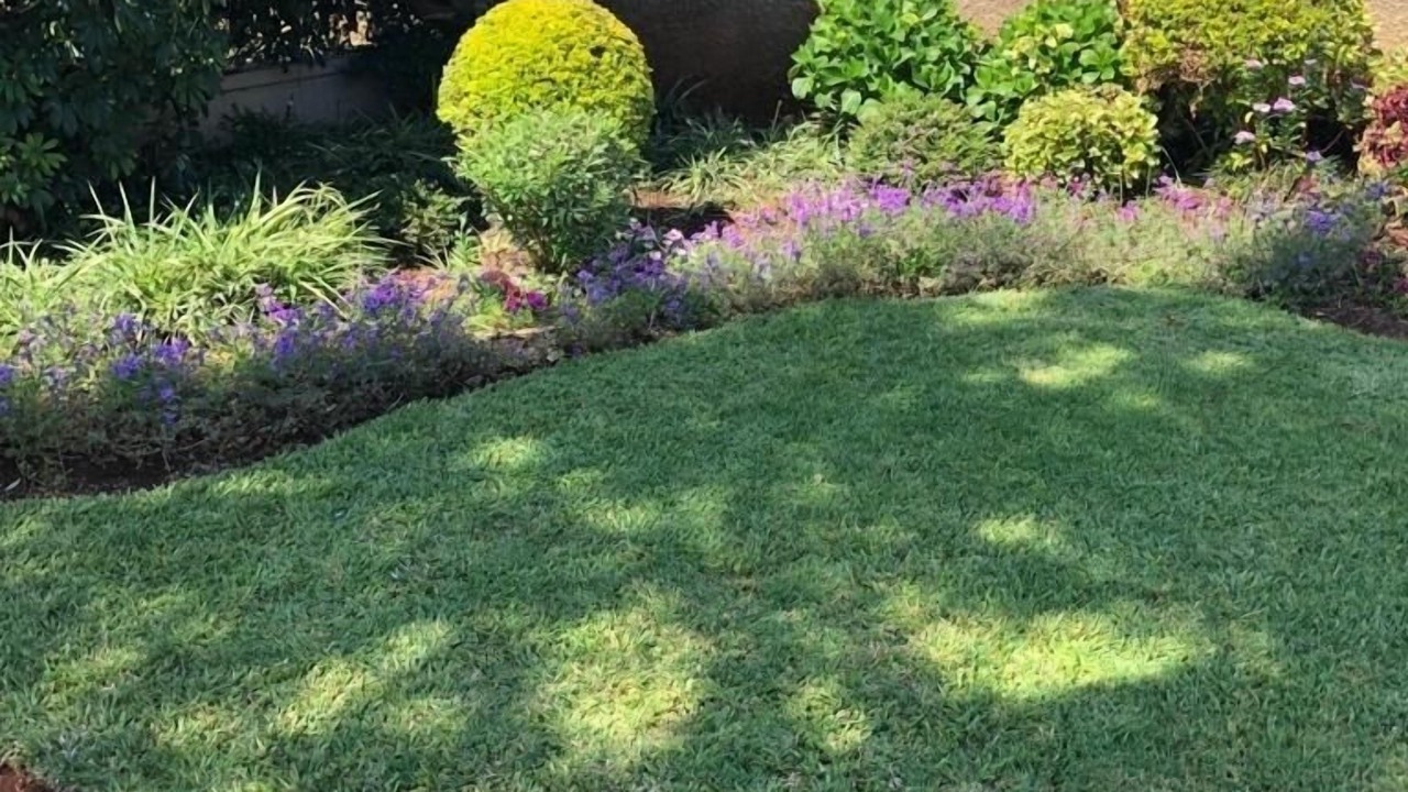 Photo of Outdoor in Glen Lorne