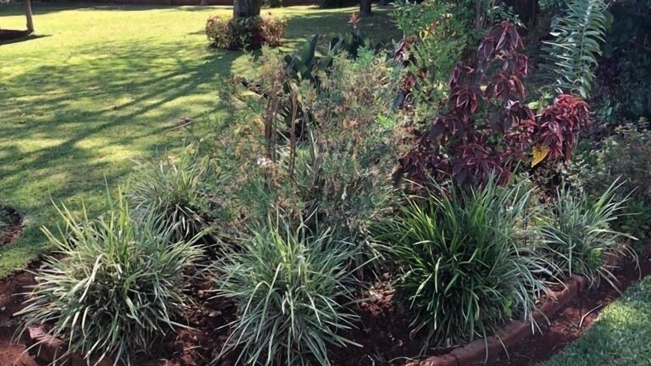 Photo of Outdoor in Glen Lorne