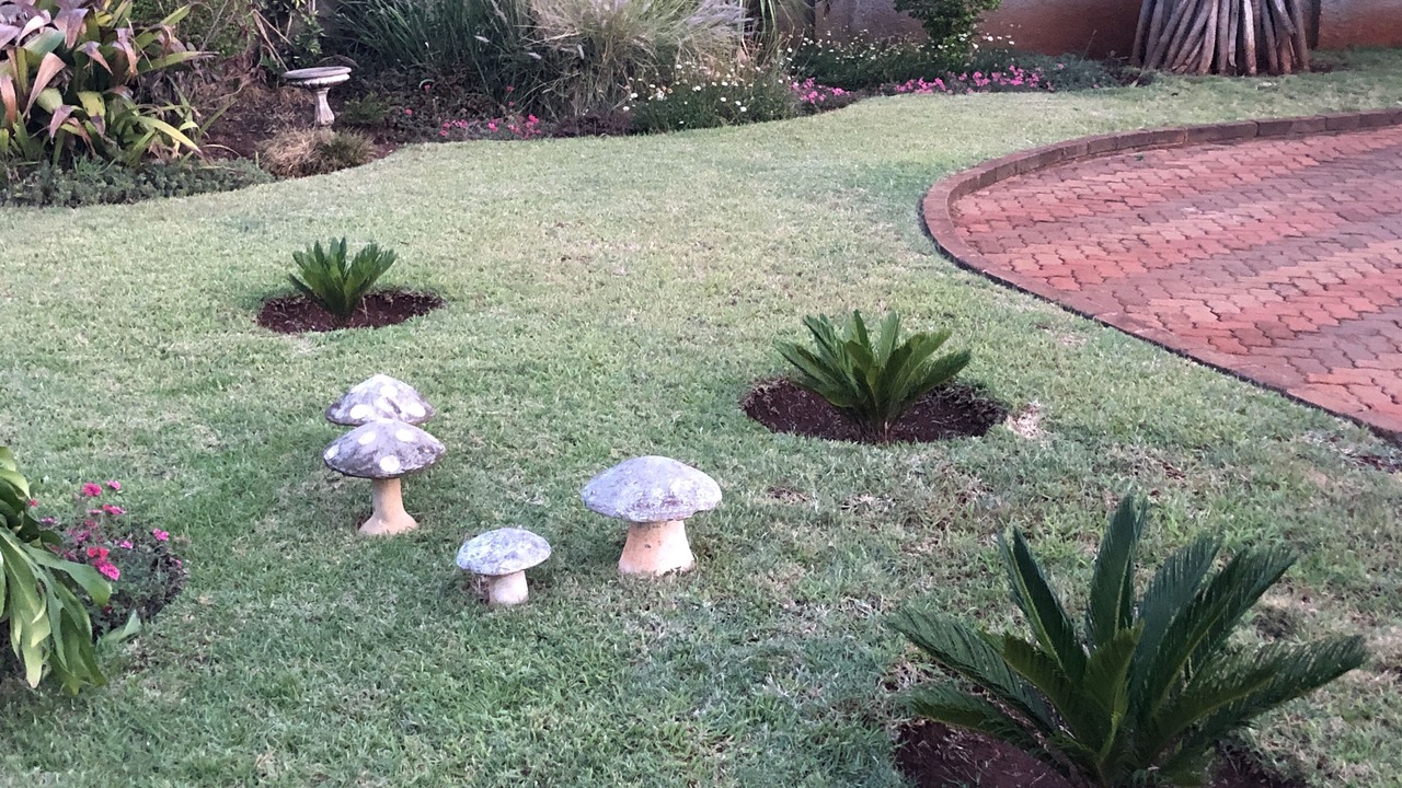 Photo of Outdoor in Glen Lorne