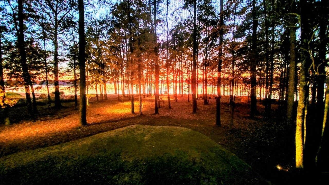 Photo of Others in Reynolds Landing