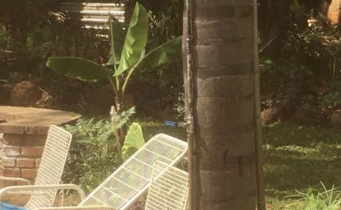 Photo of Patio Balcony in Greendale