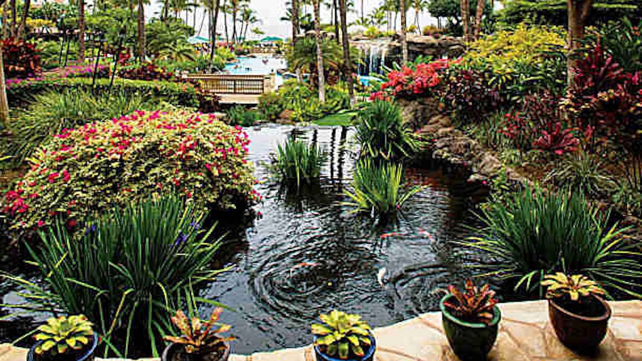 Photo of Outdoor in Kaanapali