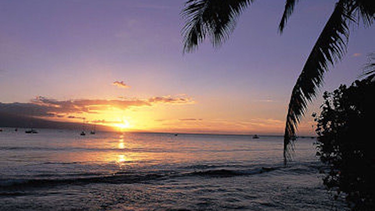 Photo of Others in Kaanapali