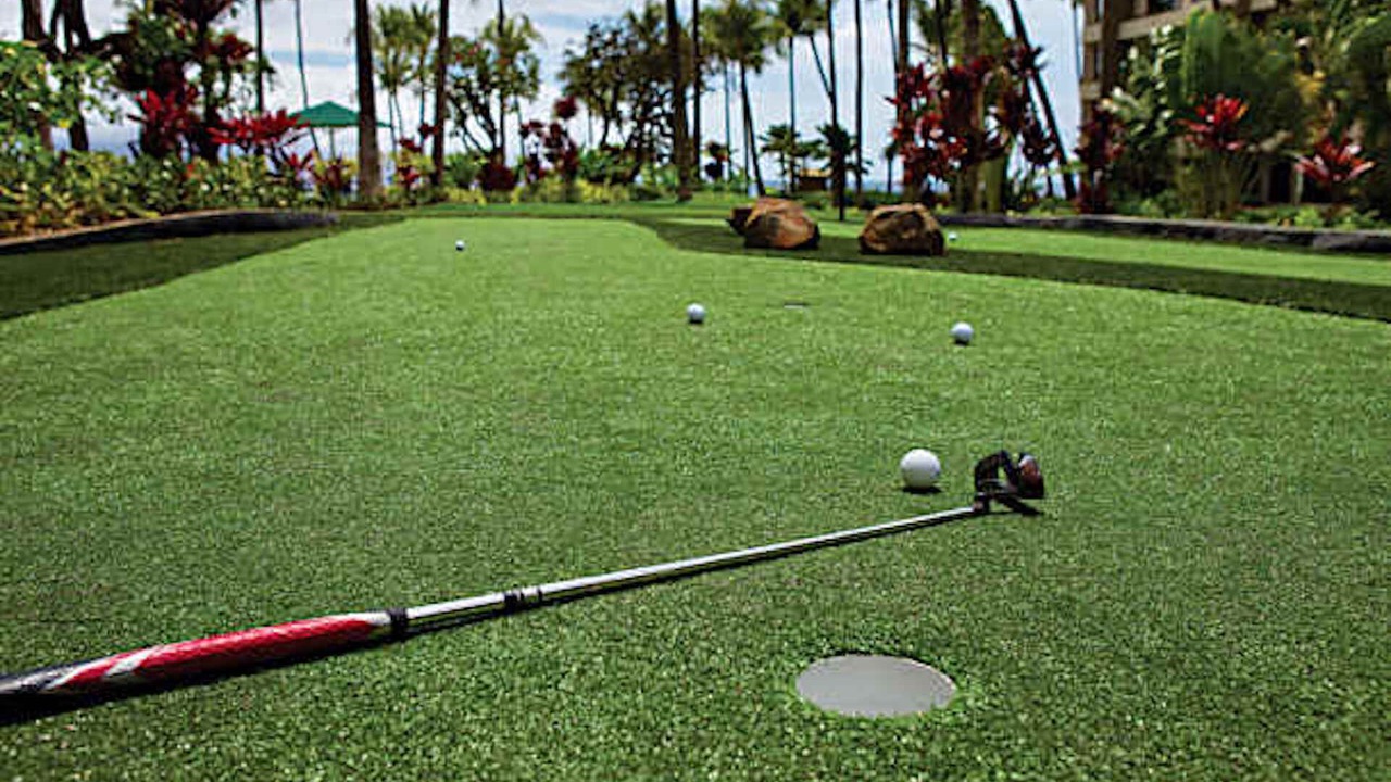 Photo of Others in Kaanapali