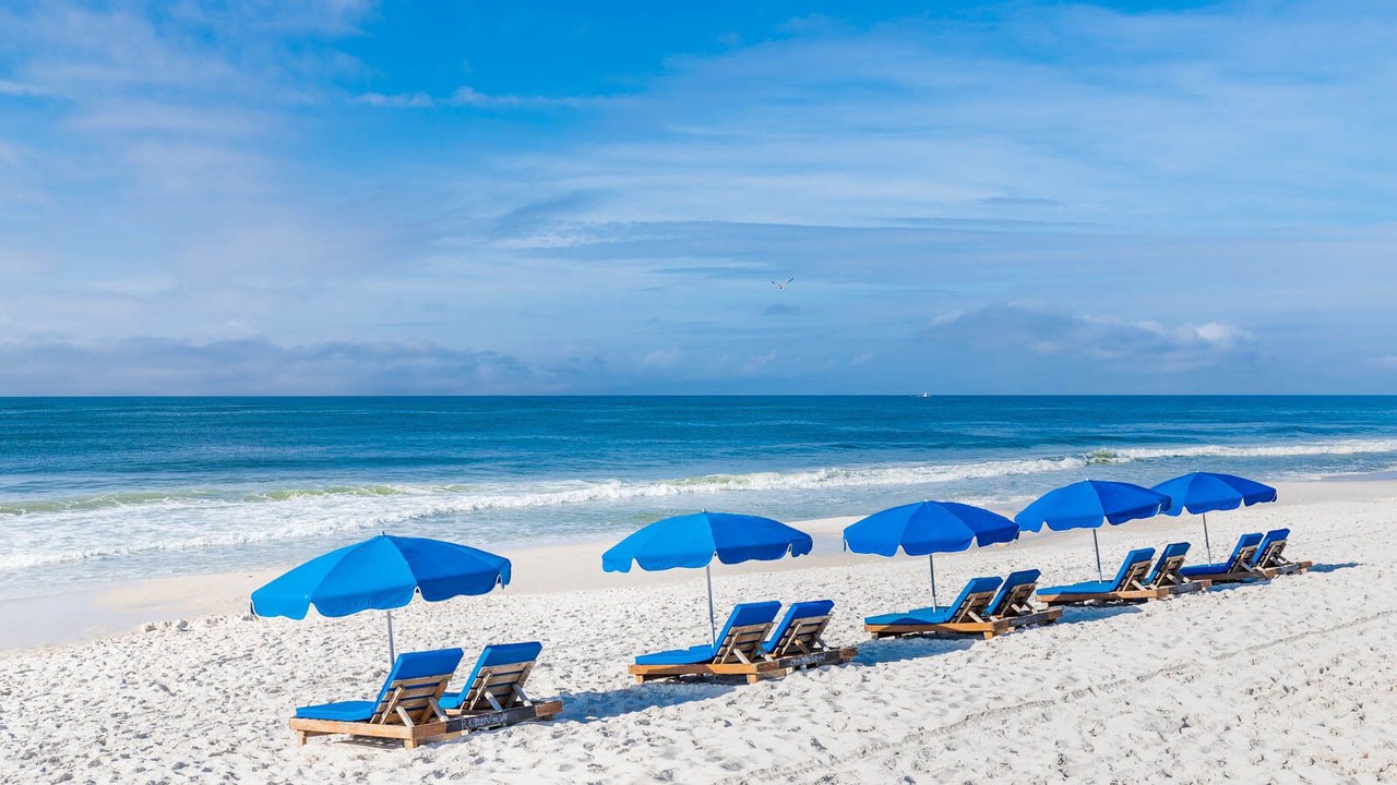 Photo of Others in Orange Beach