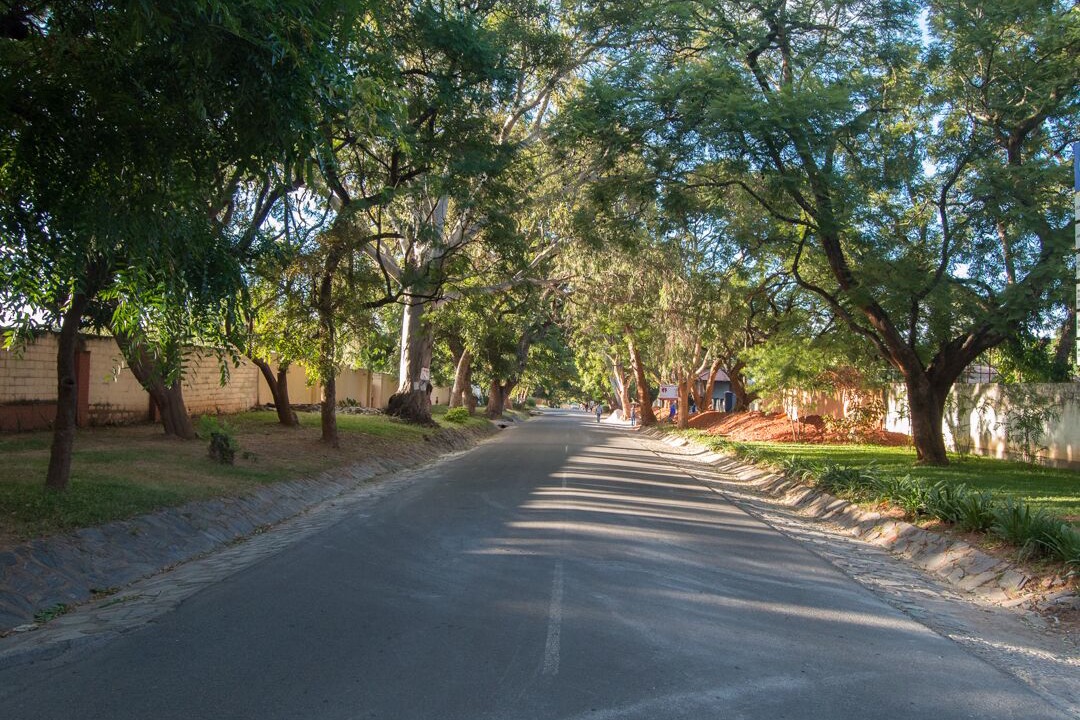 Photo of Others in Lusaka Central