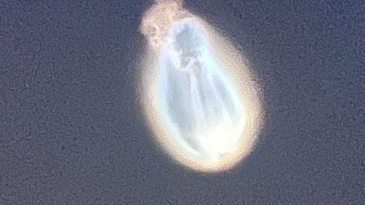 Photo of Others in Port Canaveral