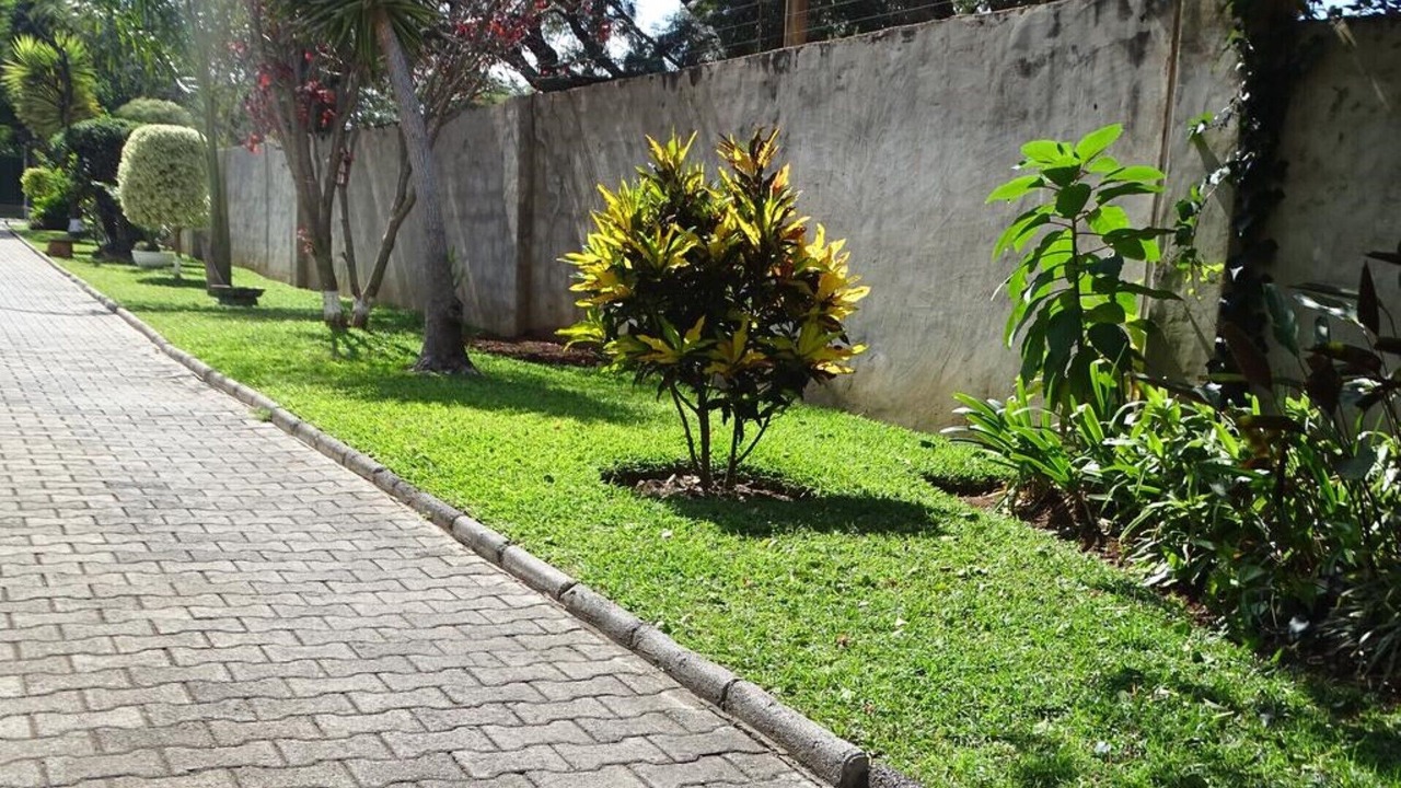 Photo of Outdoor in Bulawayo