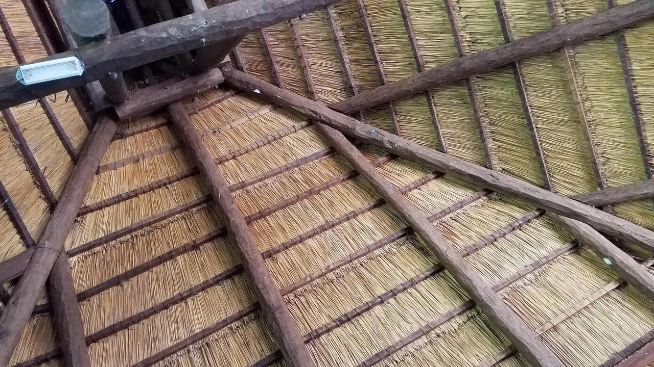 Photo of Outdoor in Machevu