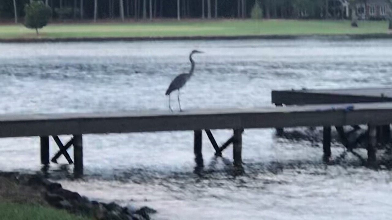 Photo of Others in Eatonton