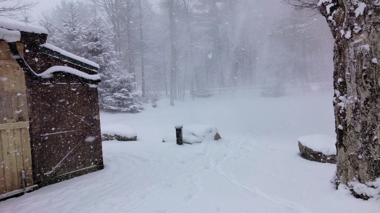 Photo of Outdoor in Allegany