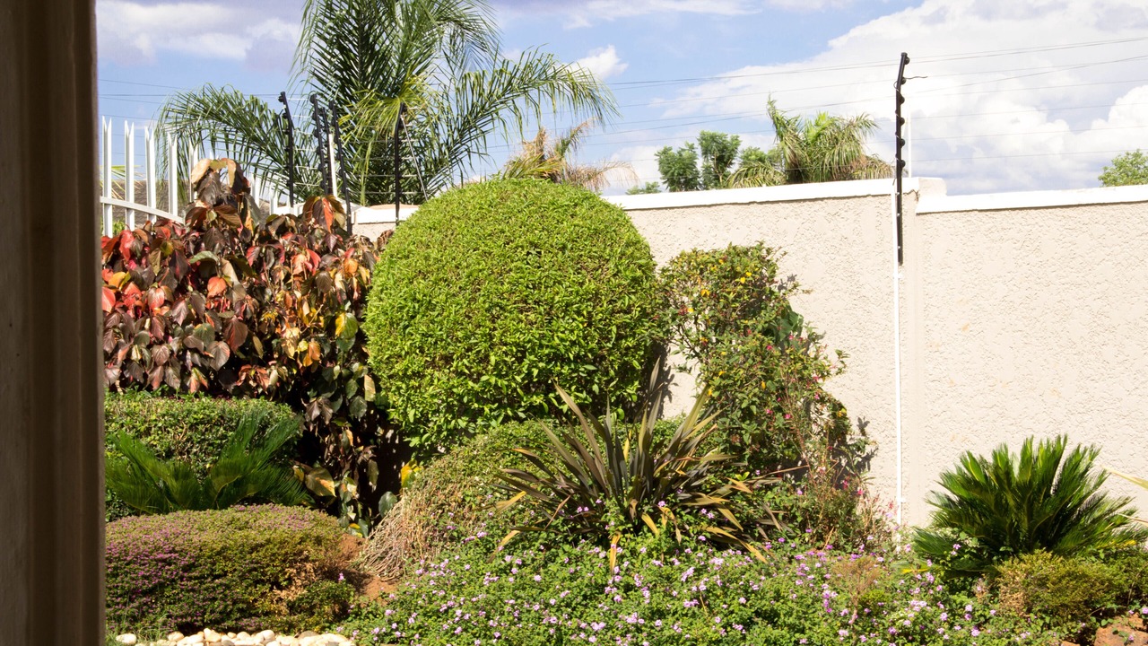 Photo of Outdoor in Harare