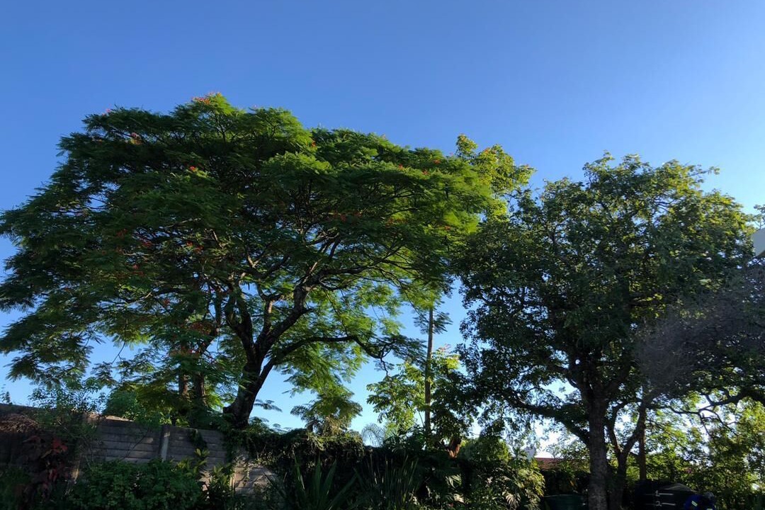 Photo of Outdoor in Mutare