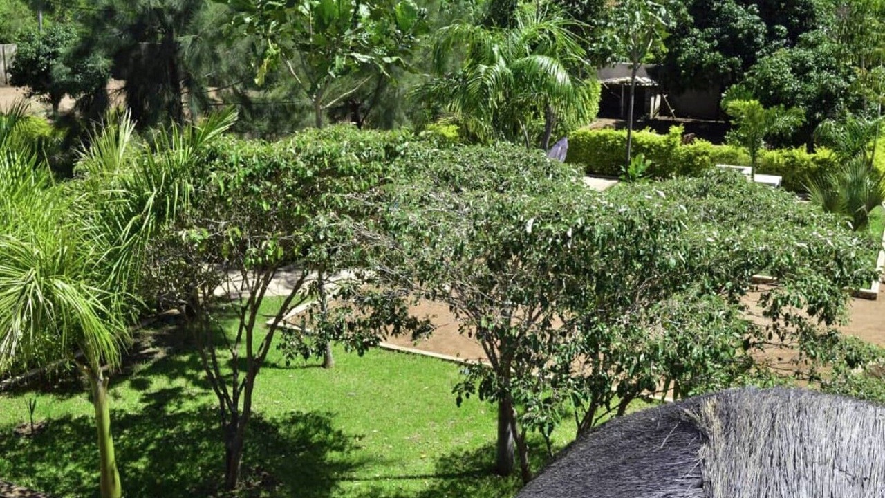 Photo of Outdoor in Kwekwe