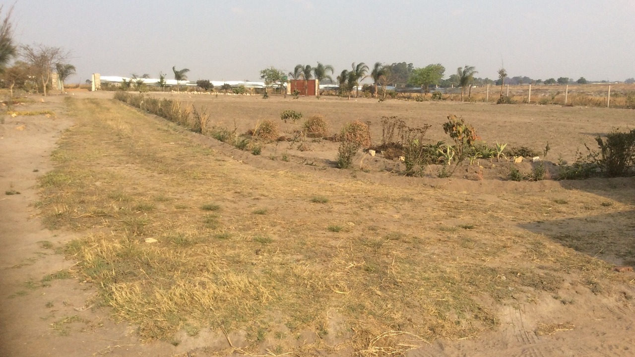 Photo of Others in Ruwa