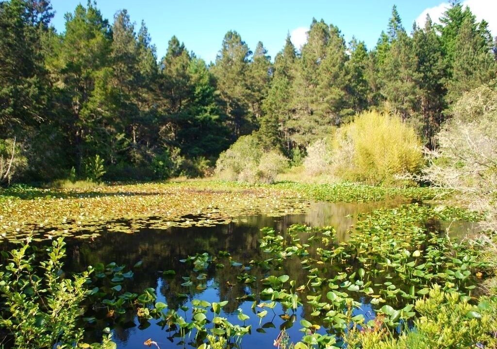 Photo of Others in Mendocino