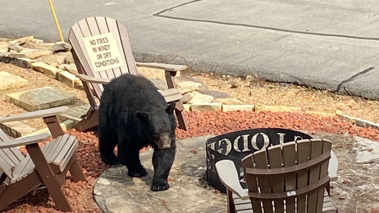 Photo of Others in Townsend