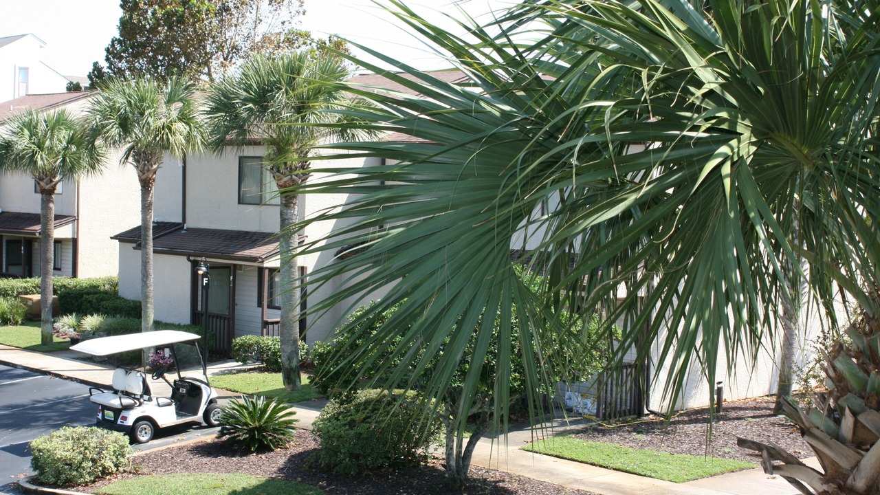 Photo of Outdoor in West Panama City Beach