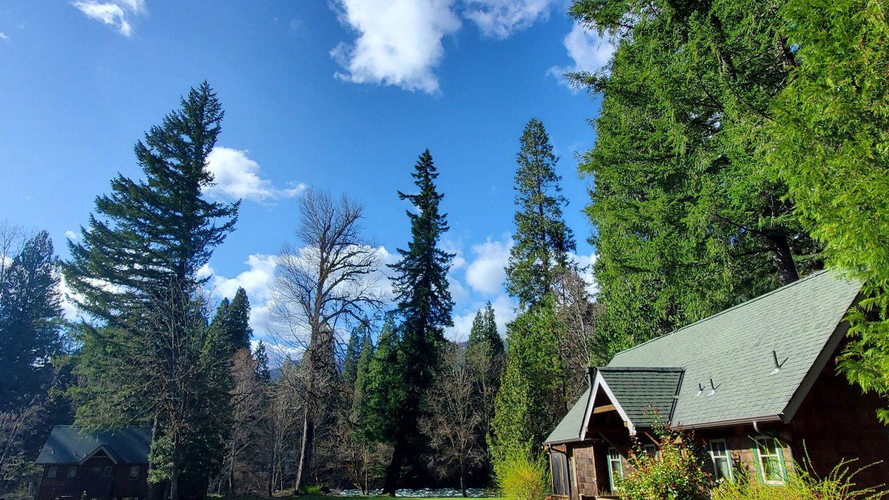 Photo of Outdoor in McKenzie Bridge