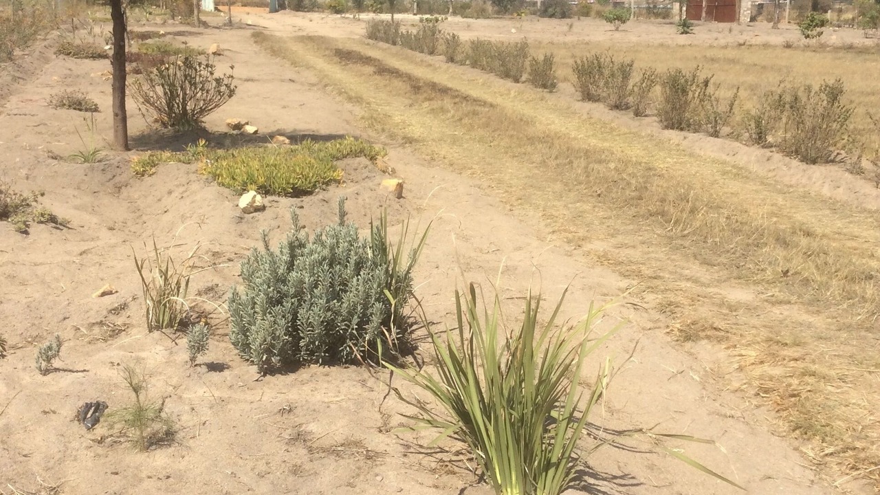 Photo of Outdoor in Ruwa
