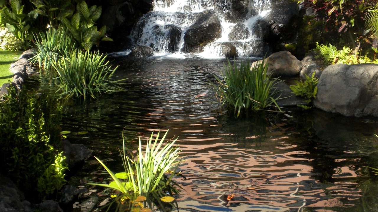 Photo of Others in Kaanapali
