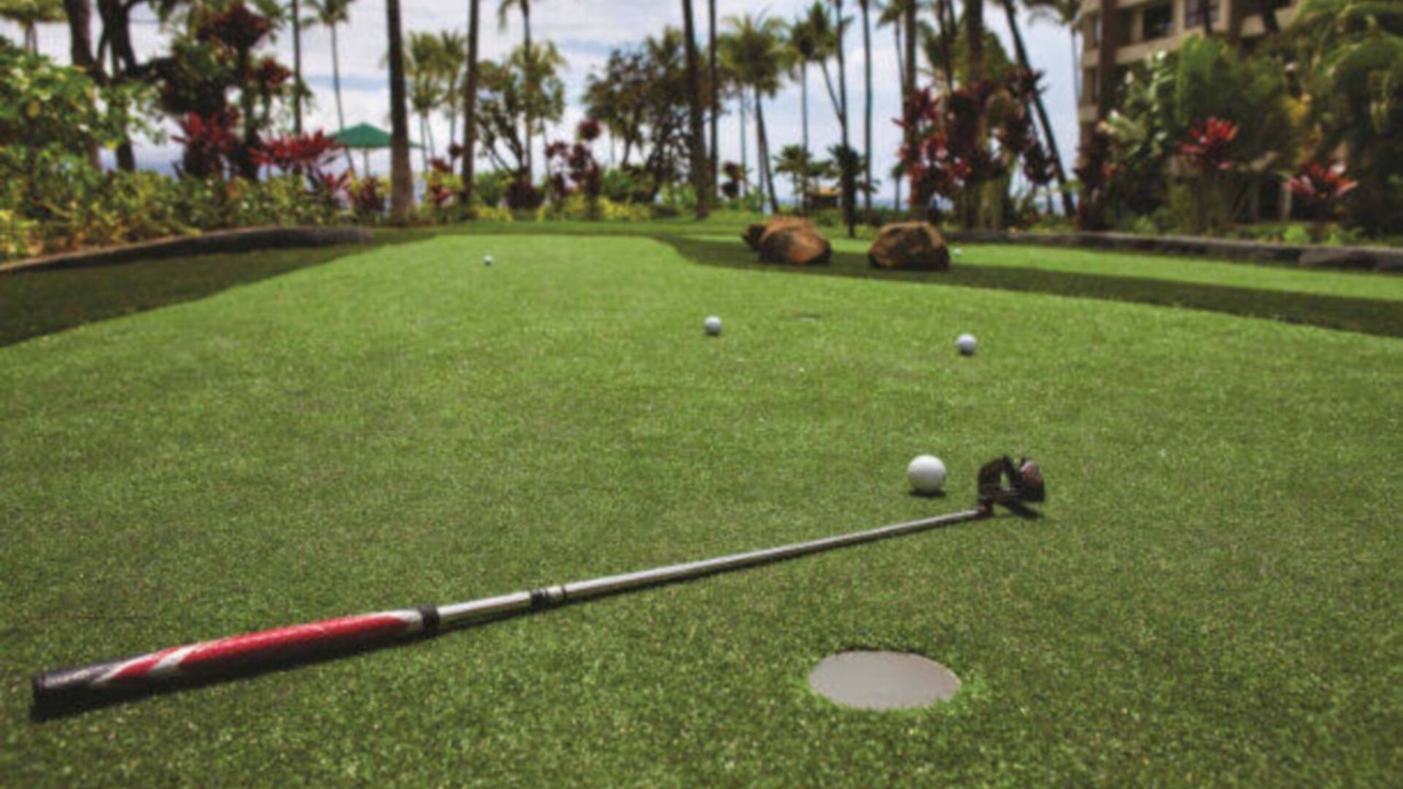 Photo of Others in Kaanapali