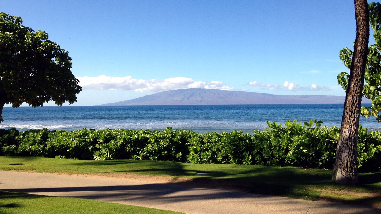 Photo of Others in Kaanapali