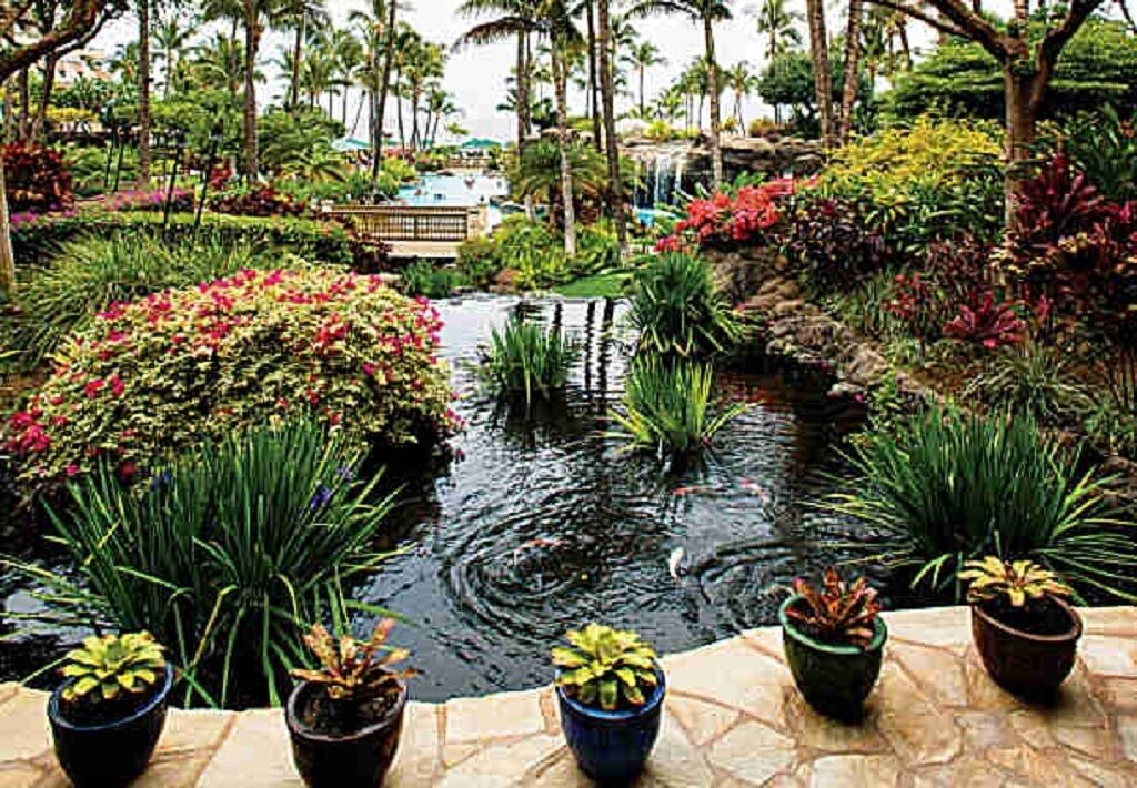 Photo of Outdoor in Kaanapali