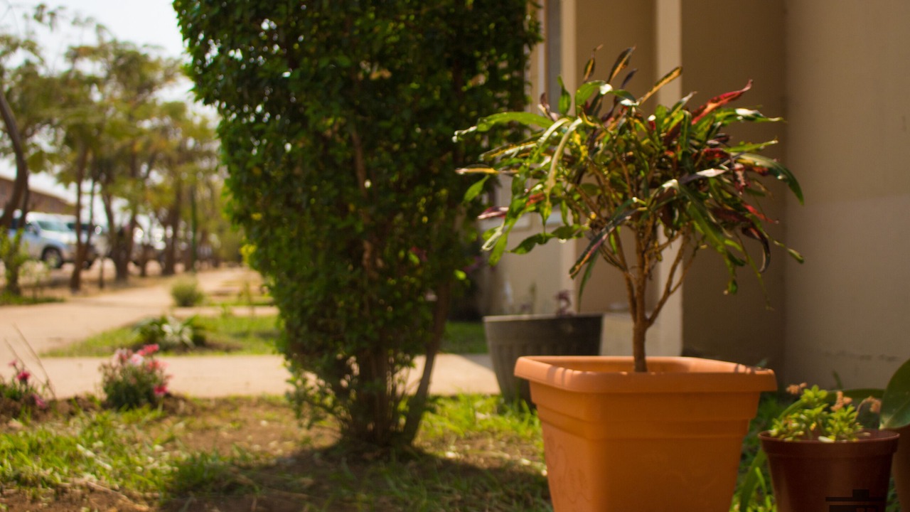 Photo of Outdoor in Lusaka