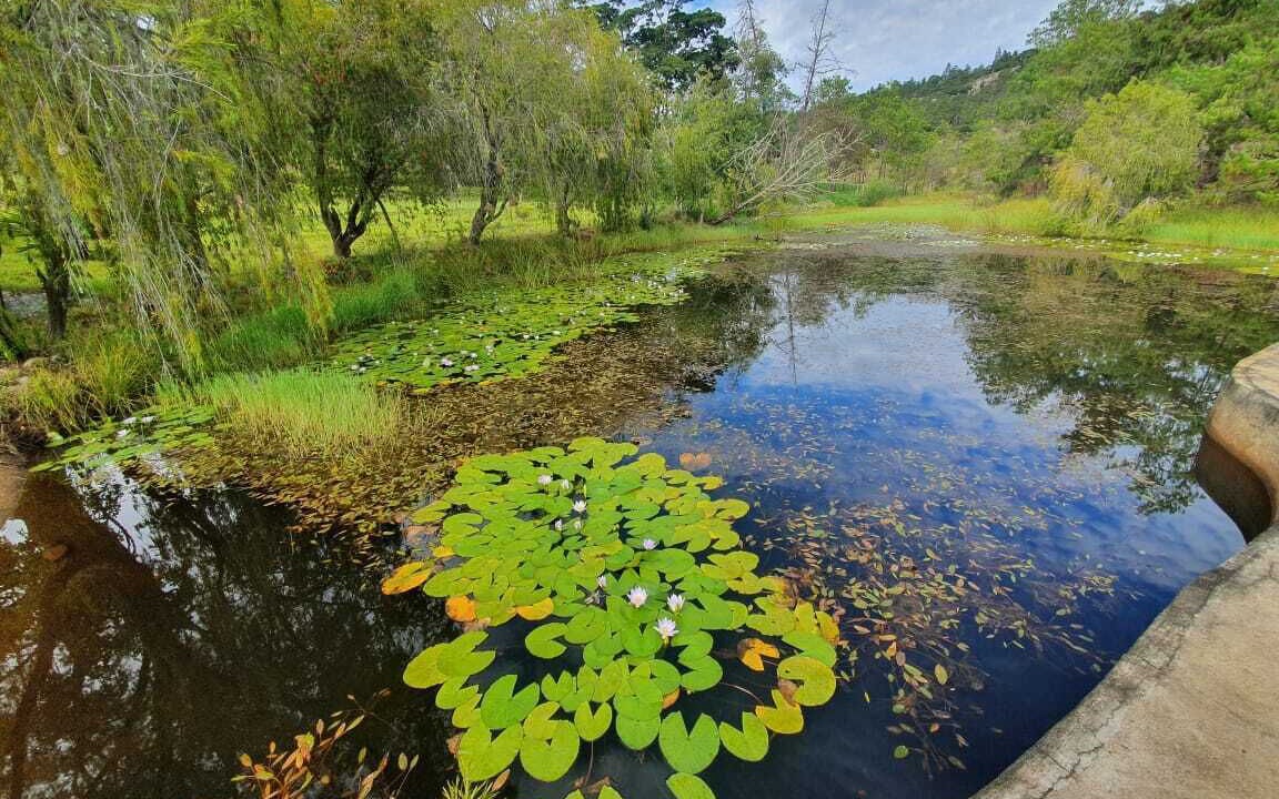 Photo of Outdoor in Juliasdale