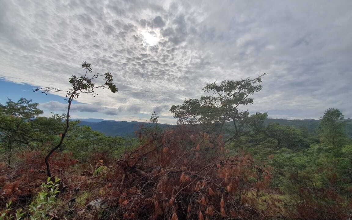 Photo of Outdoor in Juliasdale