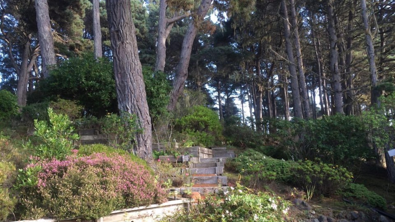 Photo of Outdoor in Little River