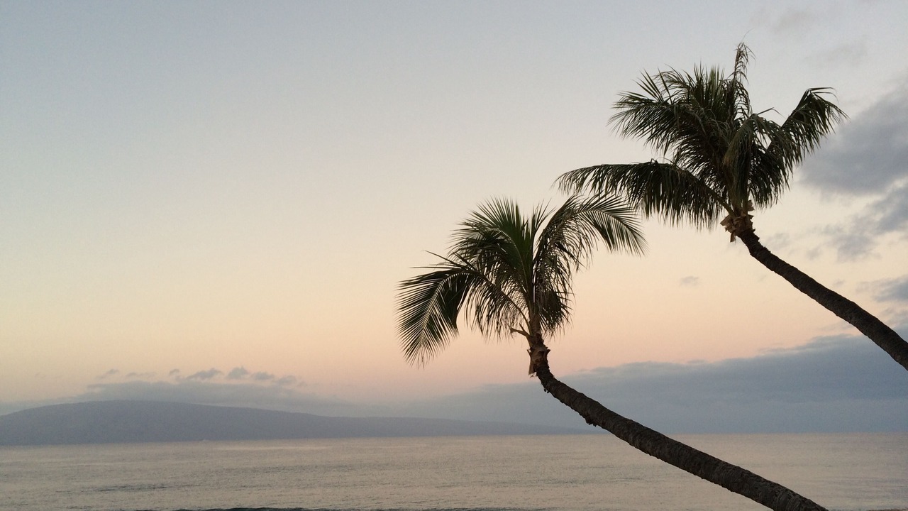 Photo of Others in Kaanapali