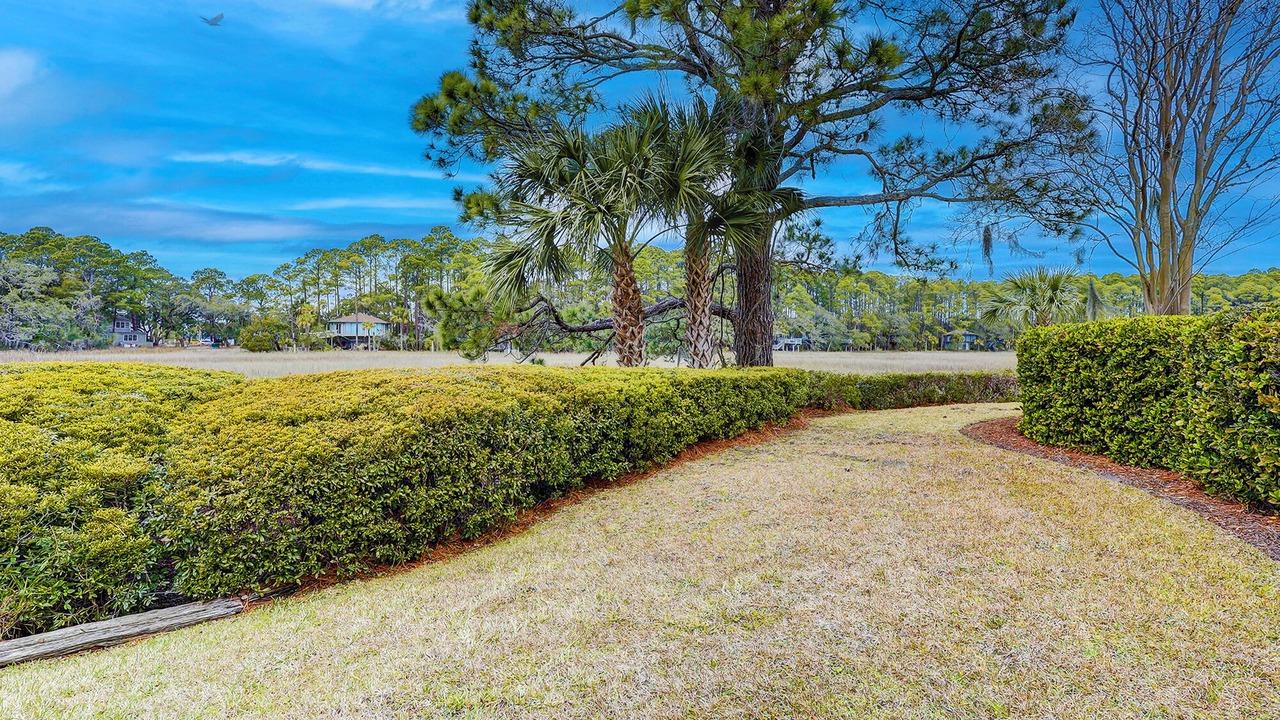 Photo of Others in Sea Pines