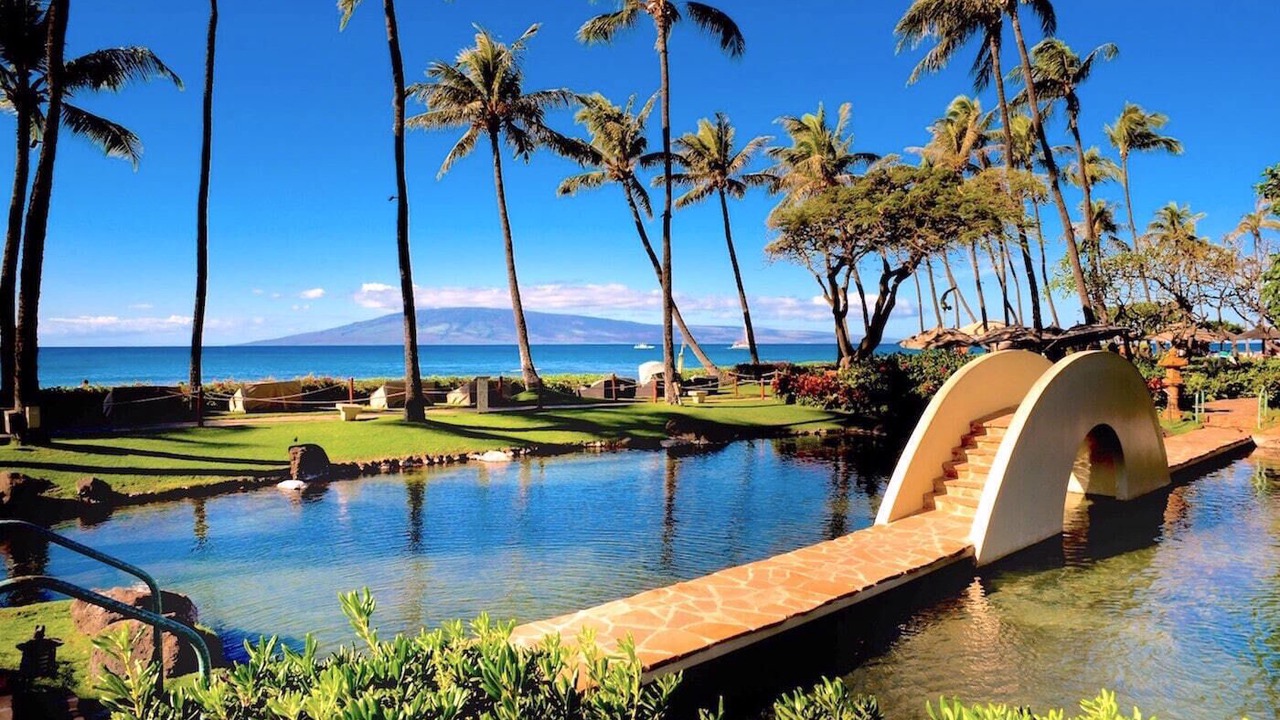 Photo of Others in Kaanapali