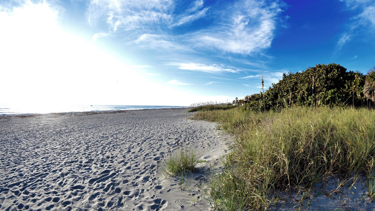 Photo of Others in Cocoa Beach
