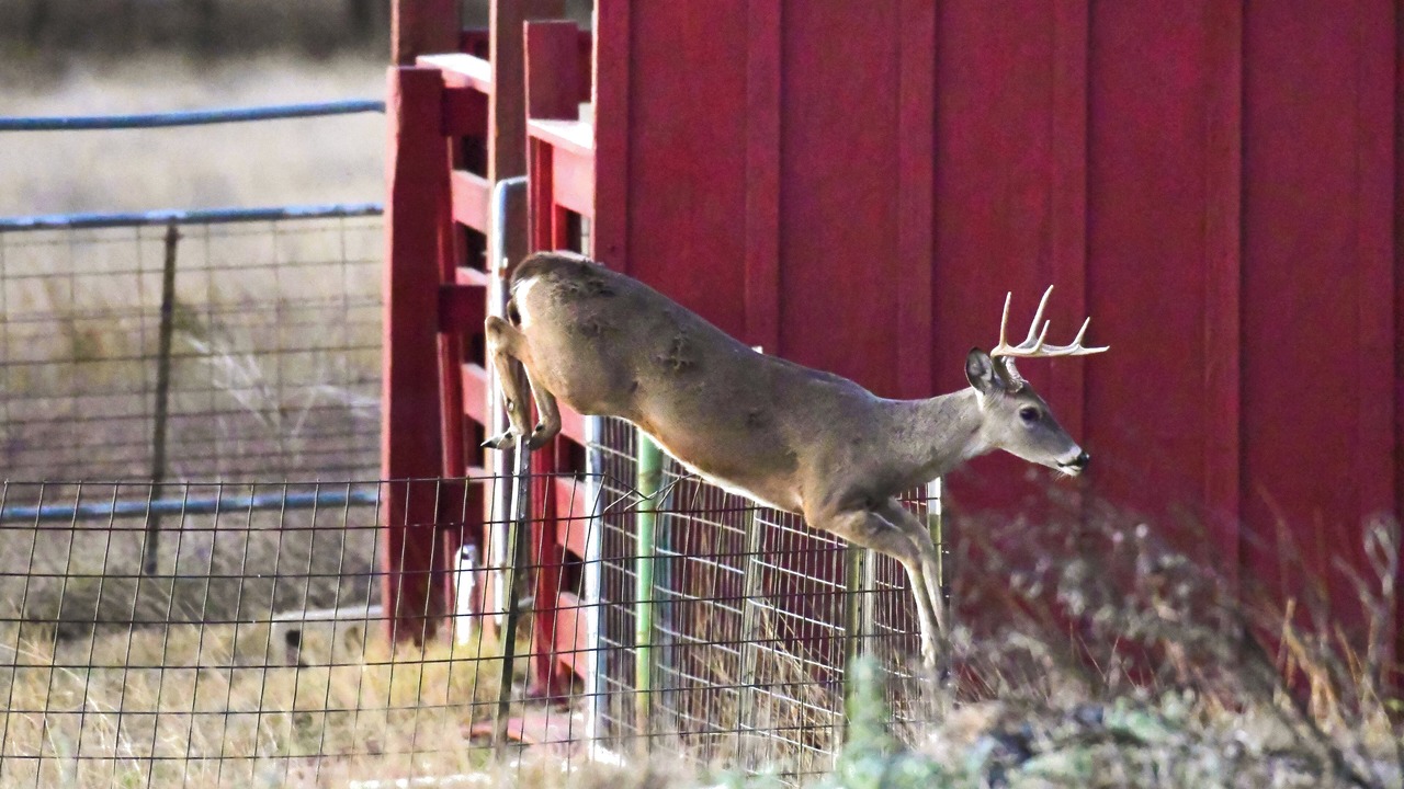 Photo of Others in Boerne