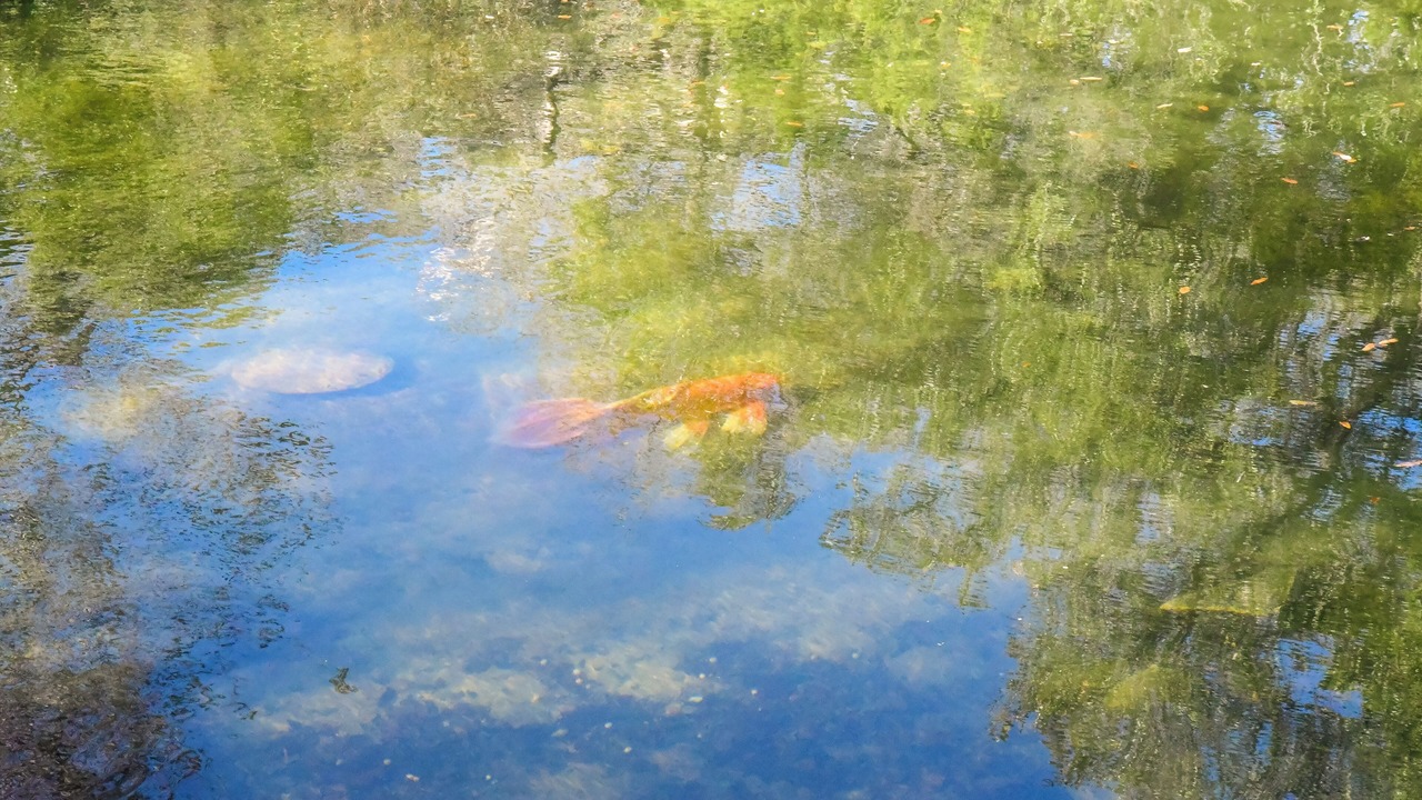 Photo of Others in Boerne