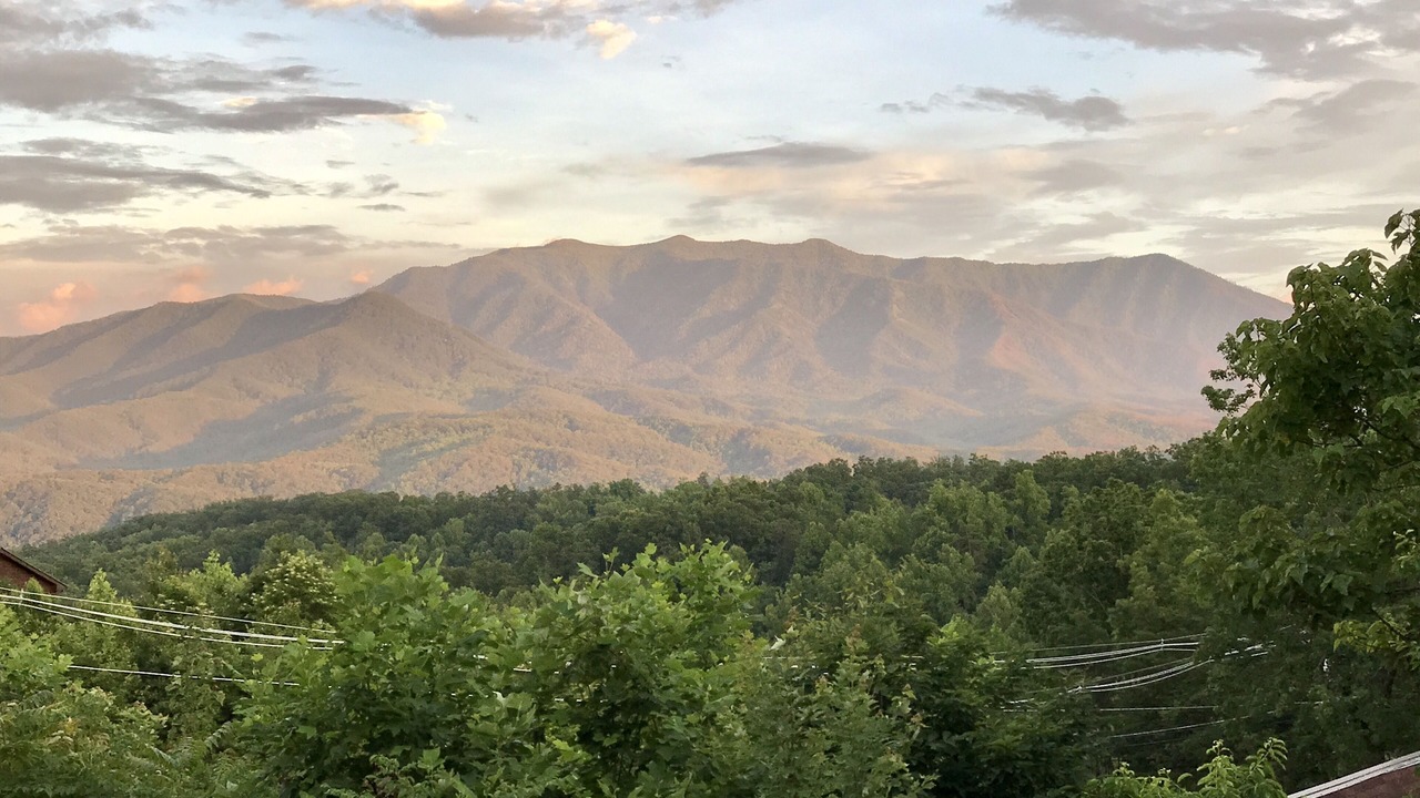 Photo of Others in Sevierville