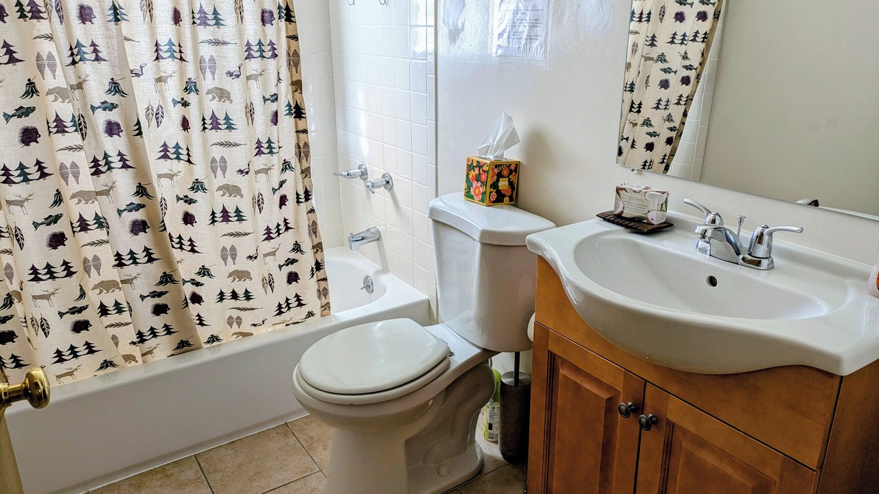 Photo of Bathroom in Cascade-Chipita Park