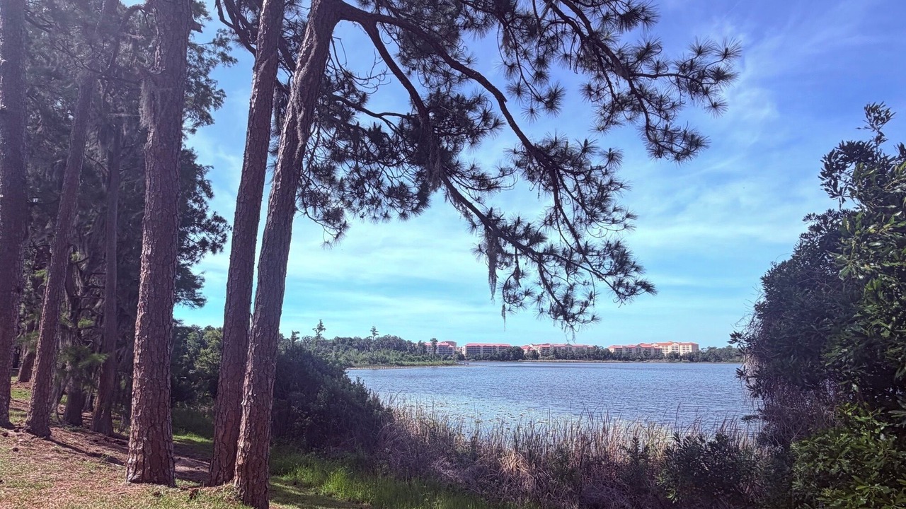 Photo of Outdoor in West Kissimmee