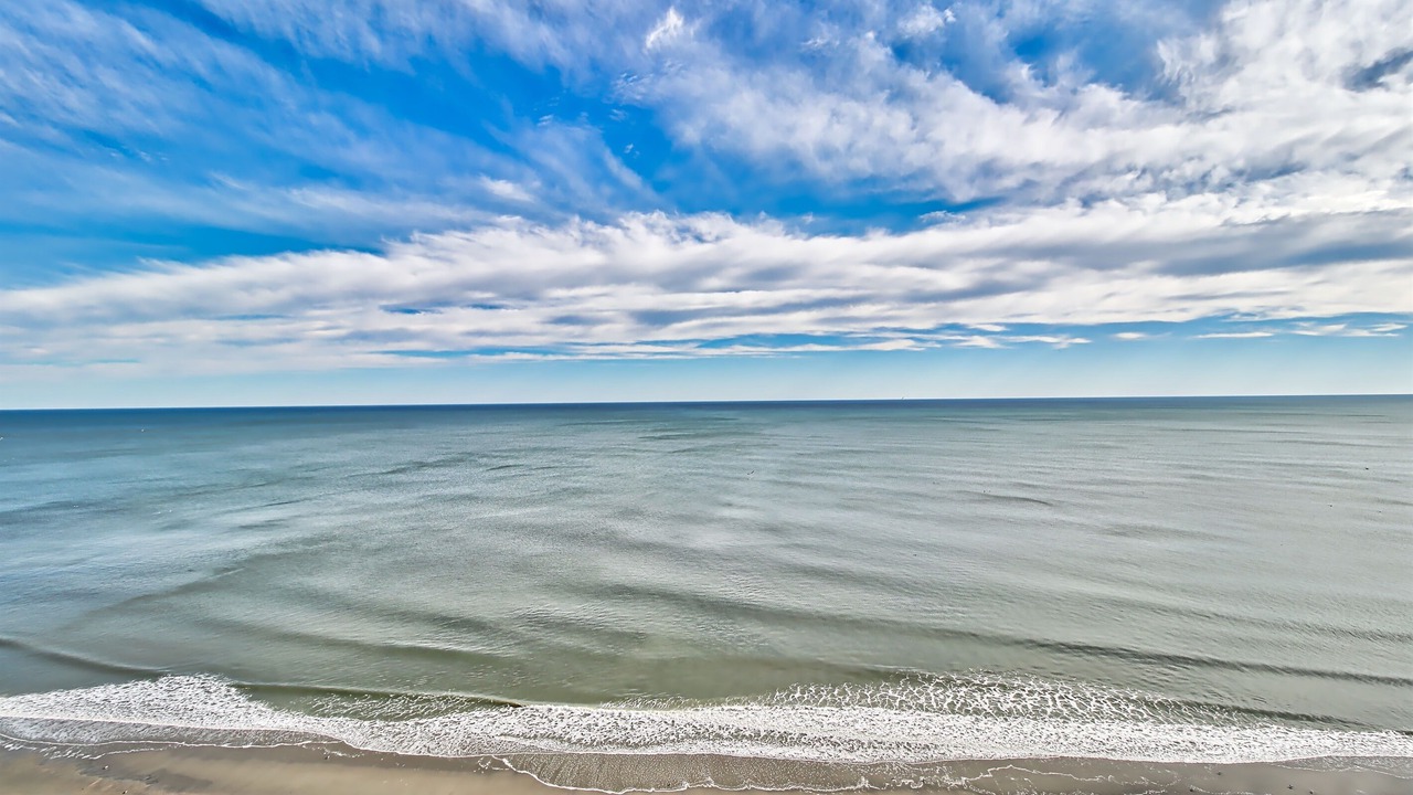 Photo of Others in Myrtle Beach