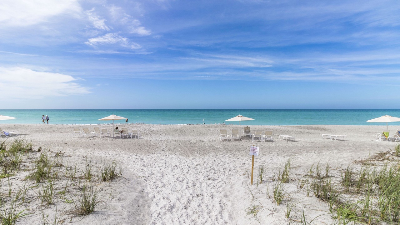 Photo of Others in Longboat Key