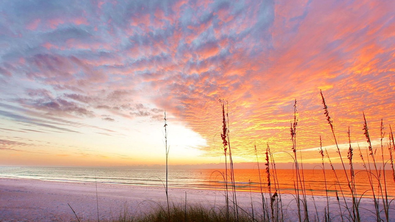 Photo of Others in Siesta Key Village