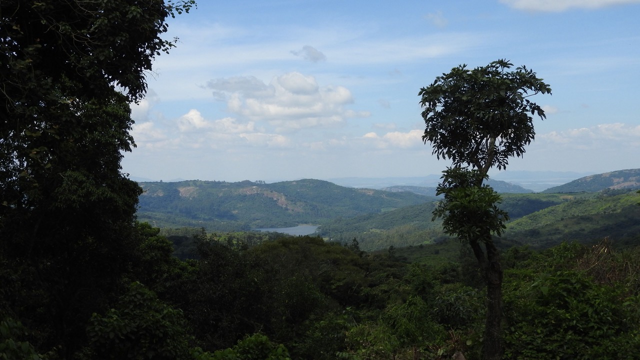 Photo of Patio Balcony in Mutare