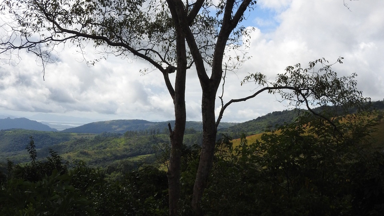 Photo of Outdoor in Mutare