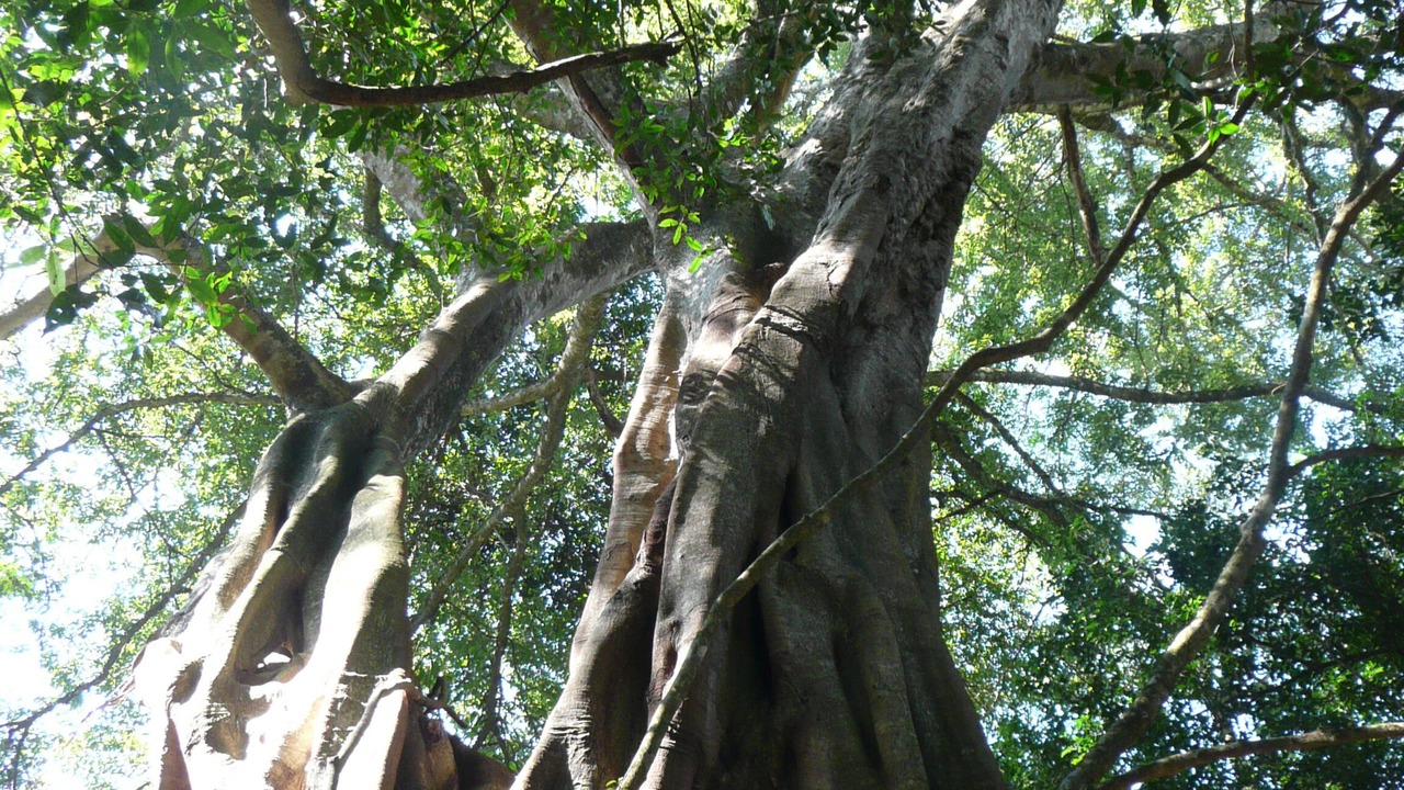 Photo of Outdoor in Mutare